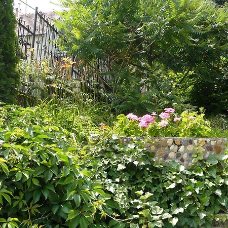 Hejo Apartman ミシュコルツ エクステリア 写真