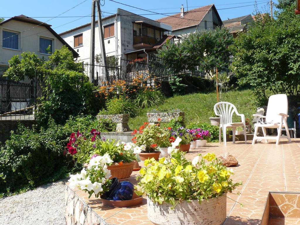 Hejo Apartman ミシュコルツ エクステリア 写真